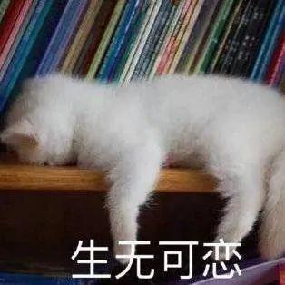 生气挽手表情包